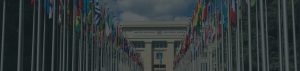 Architecture of the United Nations System and Global Governance MEIG Programme