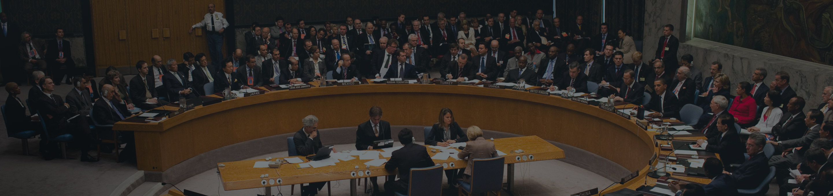 Peace, Security and Humanitarian Affairs MEIG Programme