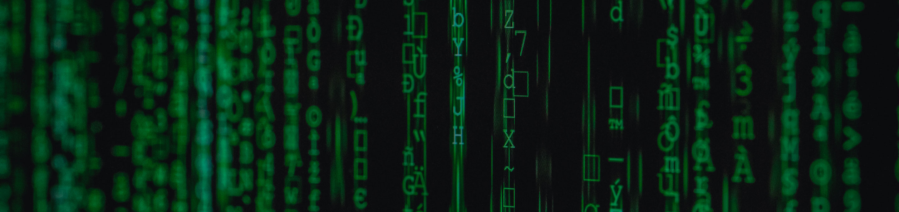 Digital Governance MEIG Programme