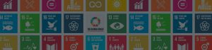 Agenda 2030 and the Public-Private Partnership for its Implementation MEIG Programme