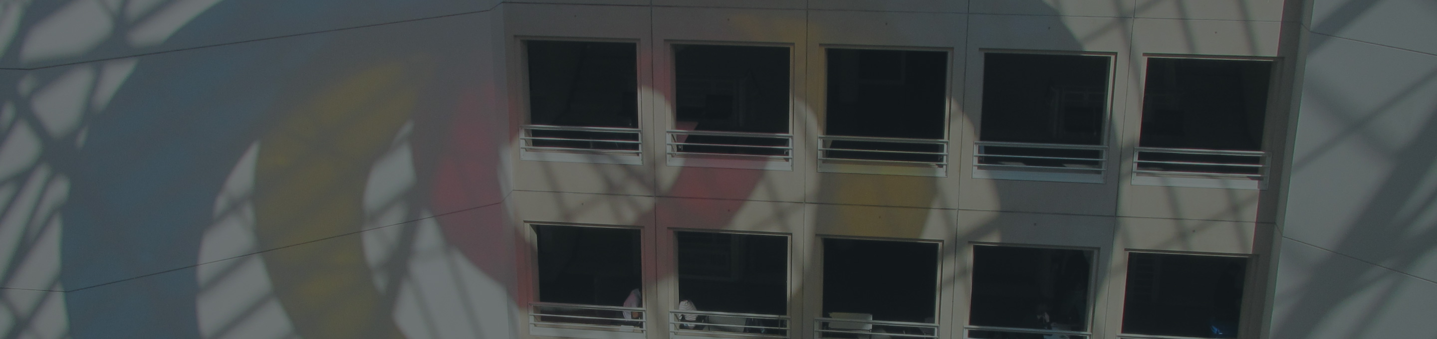 MEIG Governance MEIG Programme