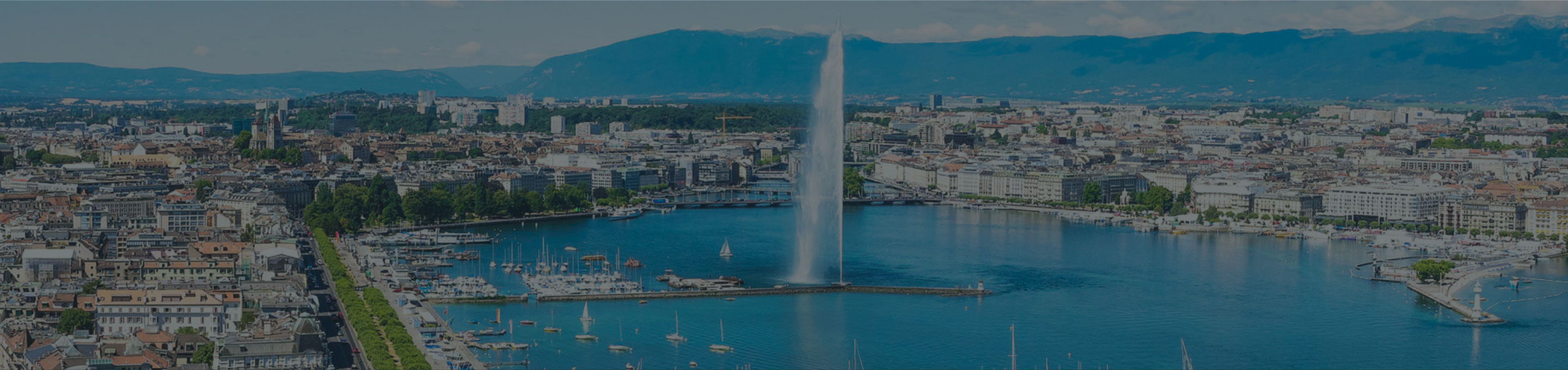 Tuition Fees MEIG Programme