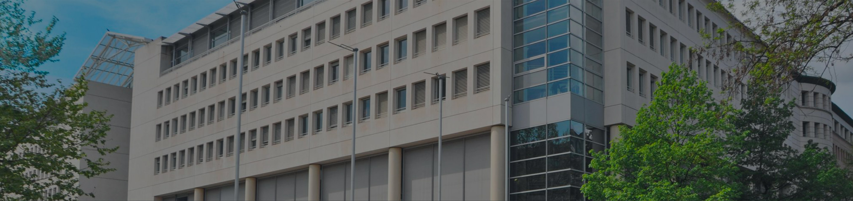 Newsletter MEIG Programme