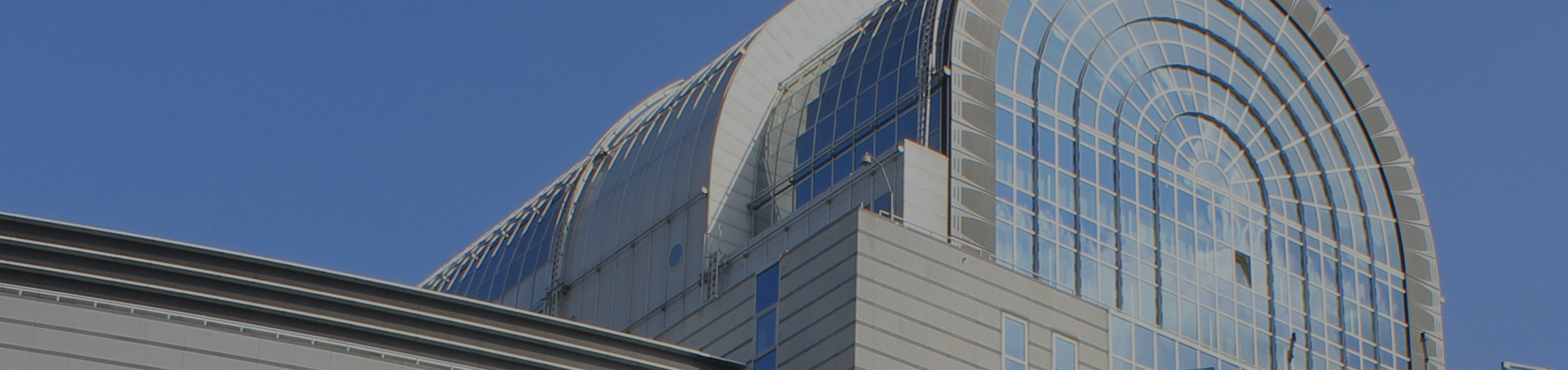 Career MEIG Programme